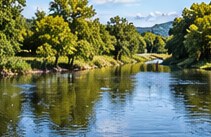 Arbres se reflétant dans la rivière